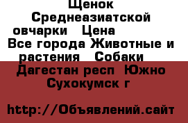 Щенок Среднеазиатской овчарки › Цена ­ 35 000 - Все города Животные и растения » Собаки   . Дагестан респ.,Южно-Сухокумск г.